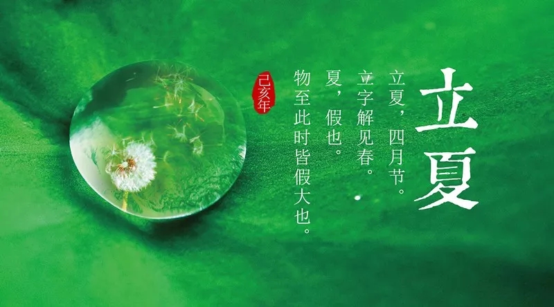 【啟德·凱麗】立夏 | 草長(zhǎng)鶯飛季,綠肥紅瘦,裝修正忙時(shí)!